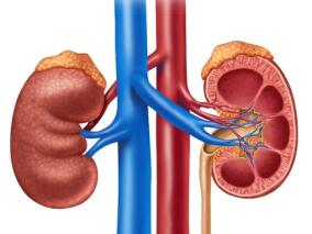 16岁少年全身雀斑且血压升高 病因很罕见