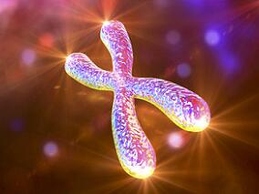 阿扎胞苷：7号染色体异常的高风险MDS患者的福音？