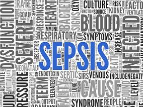 重症脓毒症:糖皮质激素是否安全有效?