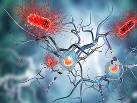 病毒性脑膜炎:发病率、病因、后遗症