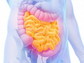 处于缓解期的炎性肠病患者肠道菌群改变 心理结局也随之改变?