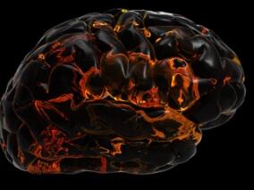 食用河豚后2小时晕厥 差点丢了性命