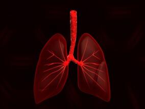 陈宝元教授：规范睡眠呼吸疾病及家庭无创通气治疗