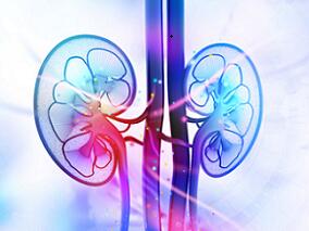 AKI的多层面干预 能否改善患者结局?