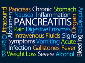 自身免疫性胰腺炎：类固醇维持治疗有效吗？