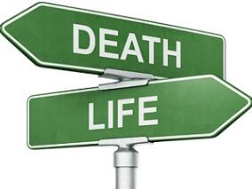 膳食补充剂于降低死亡率无益