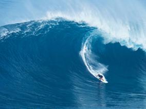 减少35万心血管死亡 节省310亿美元… 一张含糖标签掀起狂风巨浪