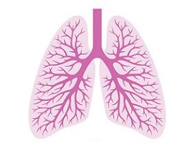 转移性非鳞状NSCLC：阿特朱单抗令化疗如虎添翼