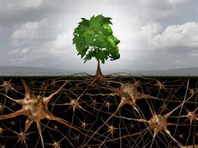 头痛畏光颈部僵硬呕吐不止 原来是两年前的疾病卷土重来