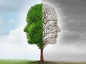 青少年抑郁症 过量服用安非他酮的严重疾病和死亡风险高于SSRIs