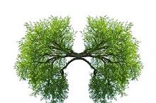 PD-L1抑制剂一线治疗晚期NSCLC:从2014年0%增加到2017年42%