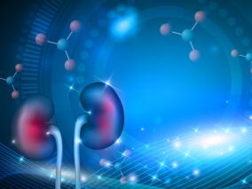 活动性狼疮性肾炎3期临床试验:贝利木单抗结果鼓舞人心