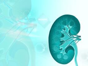 慢性肾病患者:他汀联合依折麦布有优势