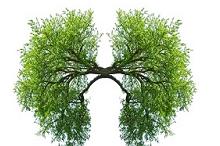 武汉金银潭医院99例新冠肺炎分析:MuLBSTA评分或可预测死亡风险