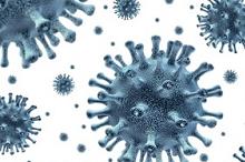 治疗多药耐药结核病 阿米卡星和贝达喹啉哪个更划算?