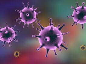 口咽部单纯疱疹病毒再激活的机械通气患者:阿昔洛韦治疗作用有限