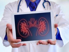 不同肾功能患者 群体PK模型的给药方案优化效果如何？