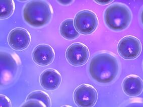 克拉屈滨治疗成人肺外朗格汉斯细胞组织细胞增多症怎么样?