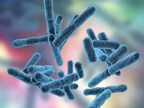 结核分枝杆菌生长缓慢的酸阶段 根除病菌的最佳三联治疗方案是……