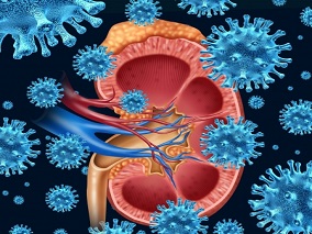 锂诱发的肾原性尿崩症：阿托伐他汀20 mg/d有效吗？