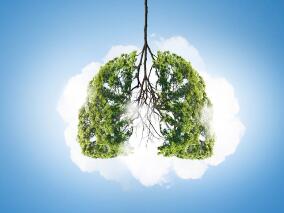 纳武利尤单抗+卡铂、紫杉醇、贝伐珠单抗一线治疗晚期非鳞状NSCLC可行吗?