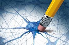 免疫检查点抑制剂相关的颅神经疾病：频谱、治疗和结局