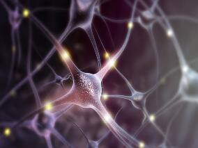 23岁女性右侧肢体无力以为是病毒性脑炎 治疗后又出现视力下降、头痛