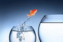 恶性间皮瘤患者一线化疗后 转换吉西他滨维持治疗无进展生存期加倍