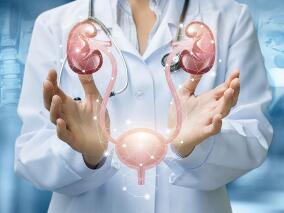 西班牙裔和黑人肾移植受者：每日1次他克莫司缓释片与每日2次速释他克莫司哪个更划算？