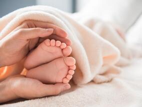 最新随机试验再次证实：FETO治疗左侧孤立性严重先天性膈疝胎儿可获益