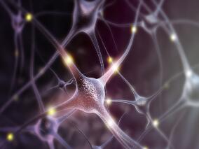 1岁宝宝无缘无故发热近半个月 对症治疗无效