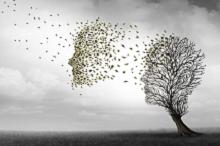 肖世富教授:深度了解阿尔茨海默病 一文看懂!