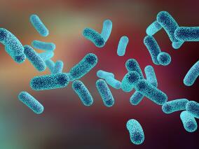 老人反复发热、胸闷、气短、不能平卧 治疗无效后出院3天死亡