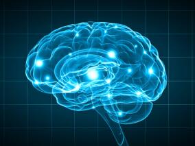 耐药局灶性癫痫成人 经皮大麻二酚或是新希望