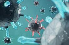 严重新冠患者没吃他汀 相当于错过了特效药