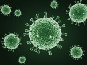 早期口服抗疟药可降低埃博拉病毒病的死亡率