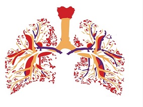 嗜麦芽窄食单胞菌引起的通气相关肺炎 合理的抗生素是降低死亡率的关键
