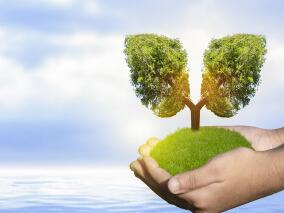 鳞状和非鳞状NSCLC患者:舒格利单抗联合含铂化疗可获益