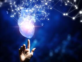 肥胖伤“心”！或能改变扩张型心肌病的能量表型