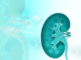 锂相关肾源性尿崩症 12周的阿托伐他汀不能改善尿渗透压