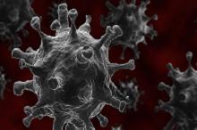 新冠大流行期间 STEMI患者心肌损伤显著增加