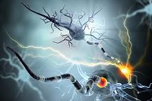 张玉皎教授:易误诊的癫痫发作 一文读懂额叶癫痫