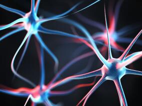 复发缓解型多发性硬化症 利妥昔单抗优于富马酸二甲酯