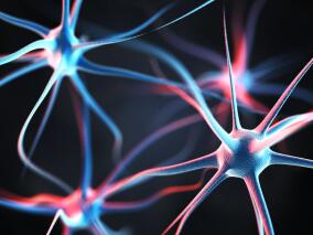 新发全身性重症肌无力 利妥昔单抗安全有效