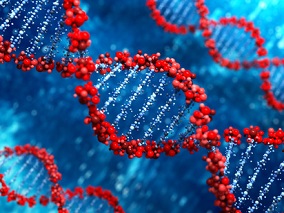 携带APOE4女性 激素替代疗法或能缓解认知能力下降