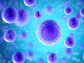 一文说懂肠道微生物衍生物与心血管发病率和死亡率的相关性