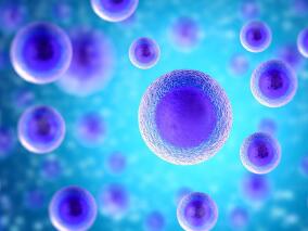 都在咳咳咳 细说呼吸道疾病之支原体肺炎