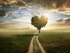 这样的家庭医生 请来一打！