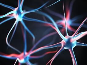 原发性中枢神经系统淋巴瘤 这一诱导方案可行且安全