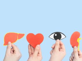 重要突破！54岁女患者命不久矣 猪肾和人工心脏联合移植手术带来重生